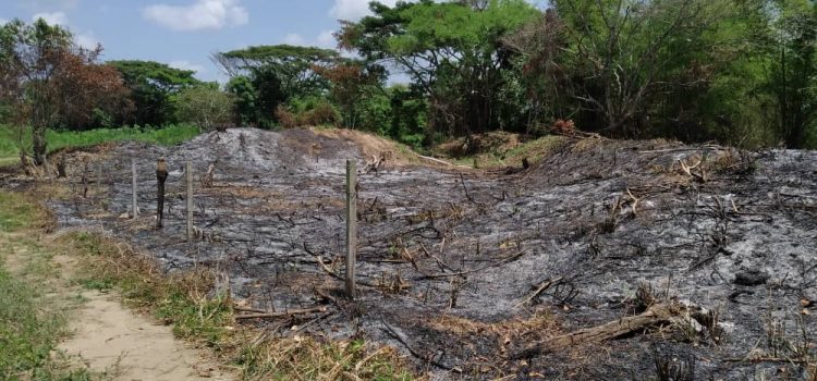 ODH-ULA denuncia ante el Ministerio Público invasión y destrucción de la Finca Judibana ODH-ULA denuncia ante el Ministerio Público invasión y destrucción de la Finca Judibana