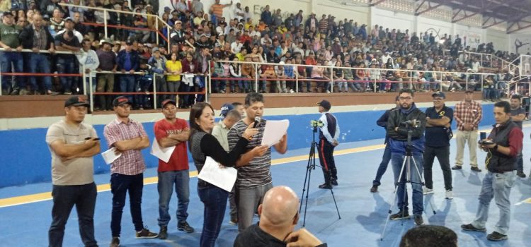 Boletín Andino de Derechos Humanos Nro. 203
