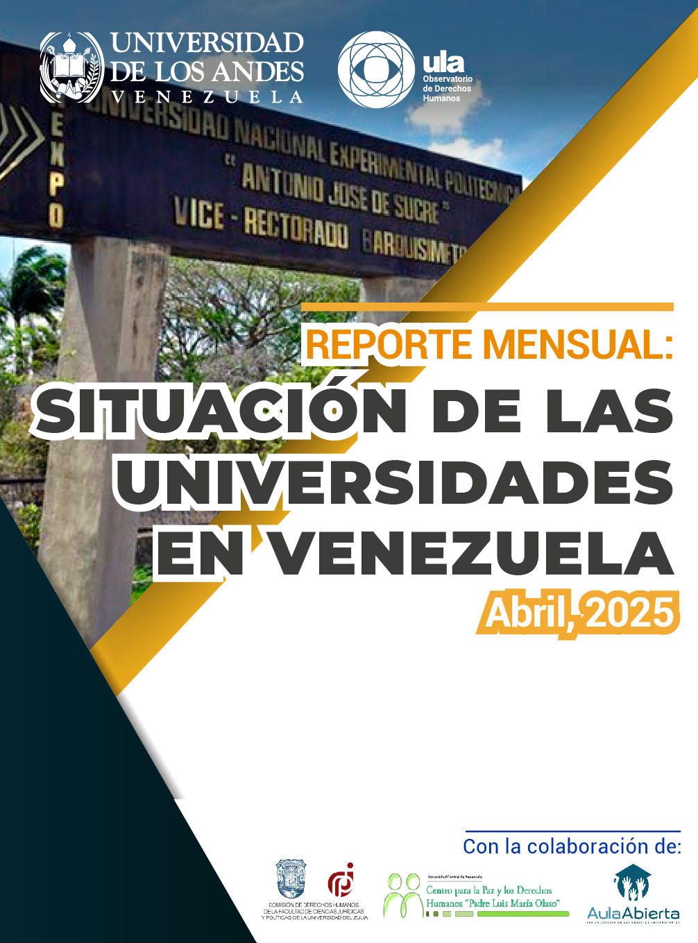 Puede descargar el Reporte completo aquí